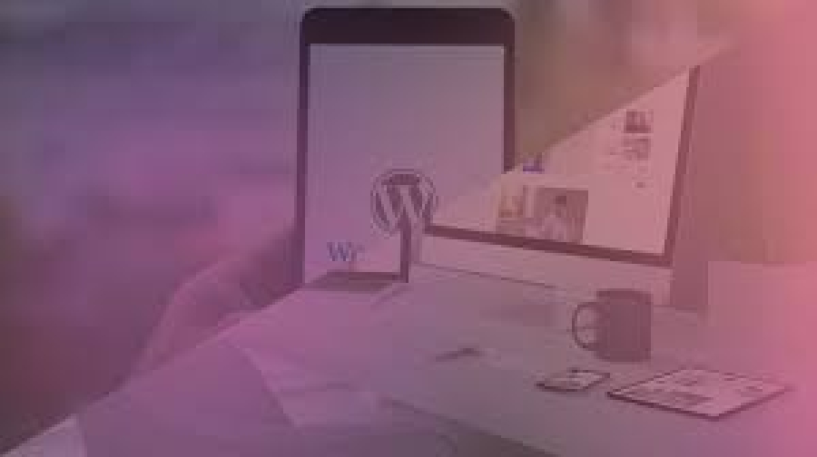 What is a CMS? Choosing the Right CMS for Web Development
