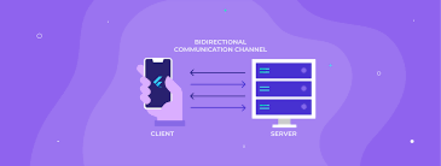 The Importance of SSL Certificates in Web Development
