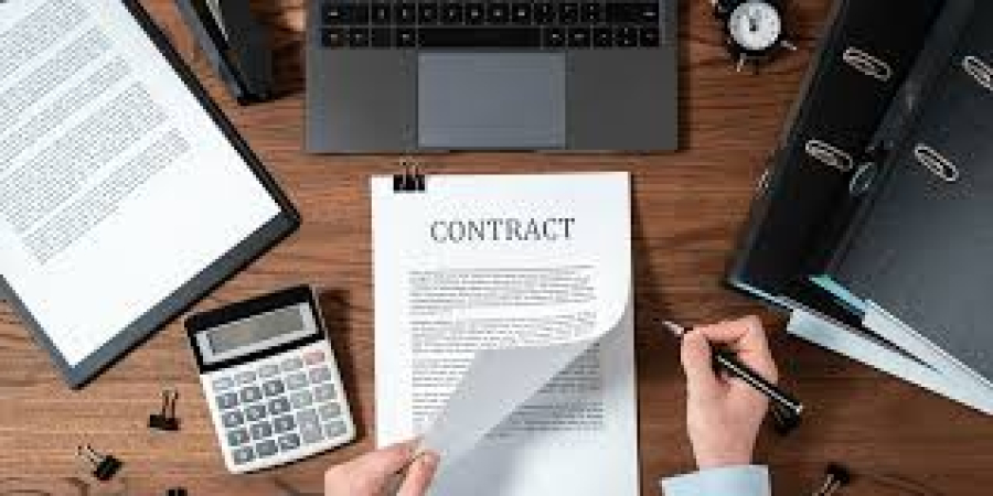 Freelancing for NGOs and Non-Profits in the Science Sector