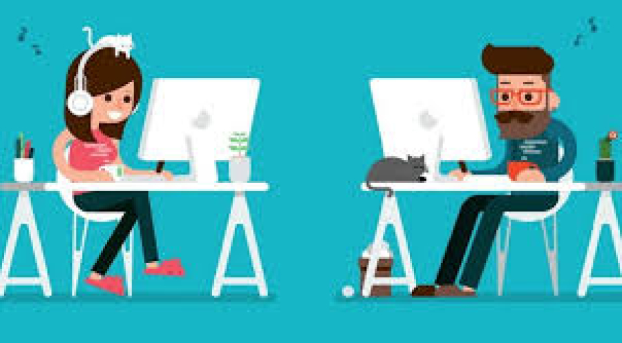 Top Freelancing Niches in 2025 for Legal Advisors