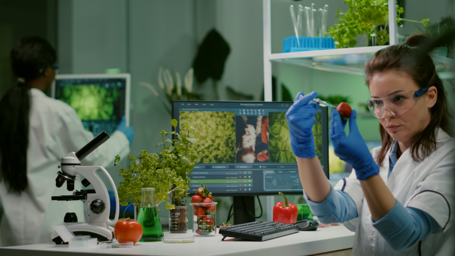 How to Build a Freelance Business in Scientific Research